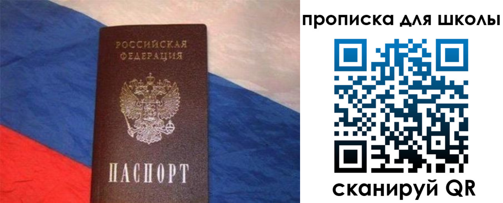 прописка поиск в Курске
